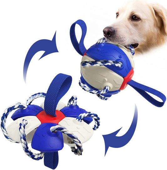 Interactive Dog Football Soccer Training Ball