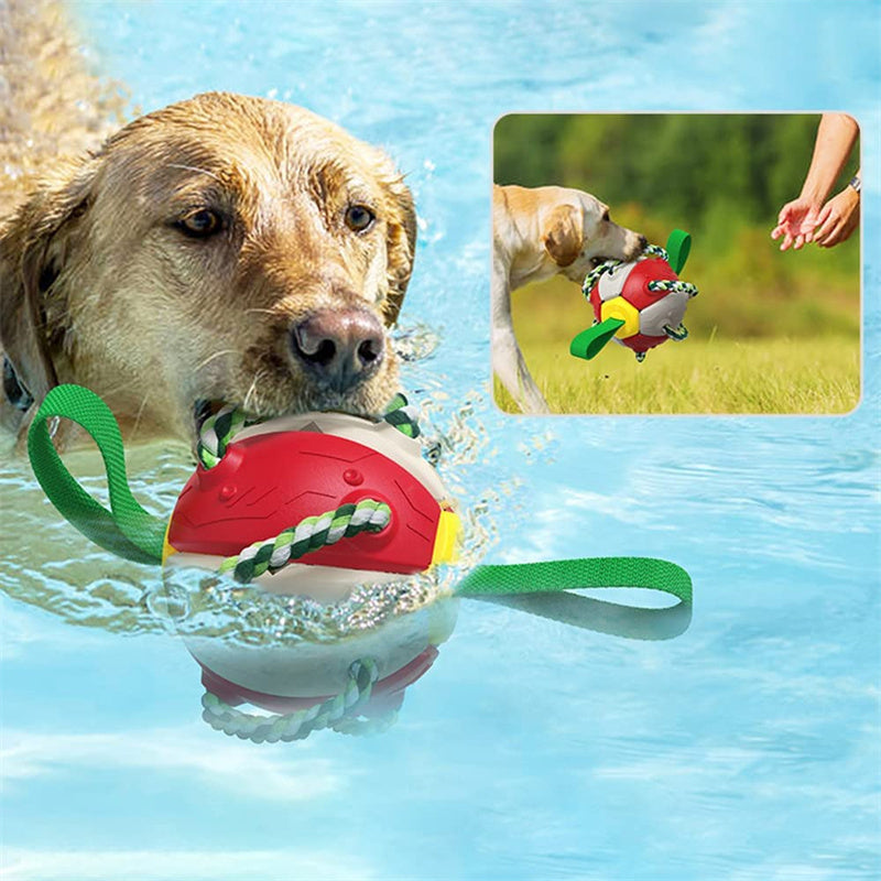 Interactive Dog Football Soccer Training Ball