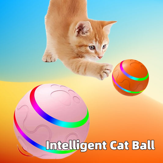 Fantastic Cat Wicked Ball Toy