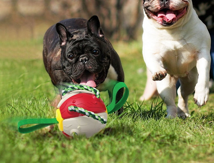 Interactive Dog Football Soccer Training Ball